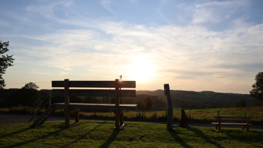 XXL Bank auf Rotthausen